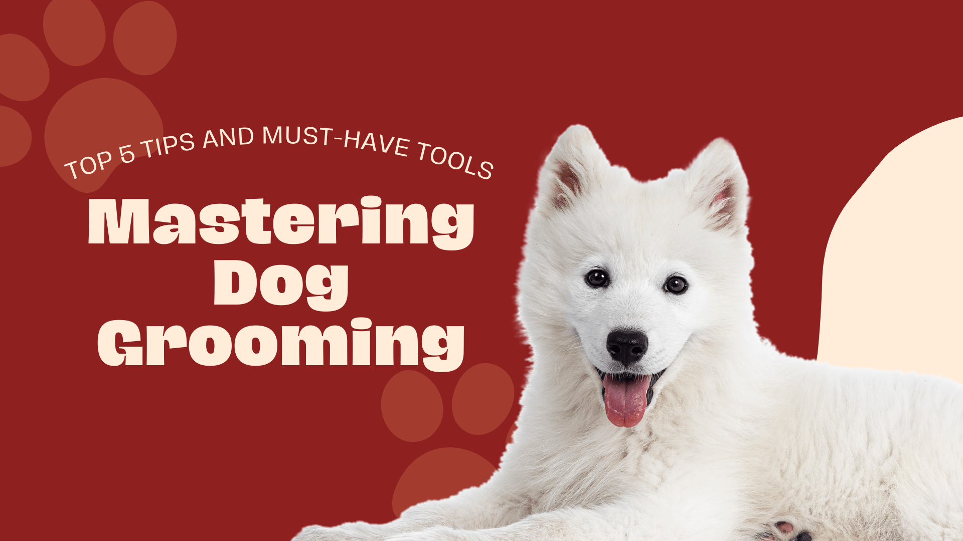 Dog best sale grooming top