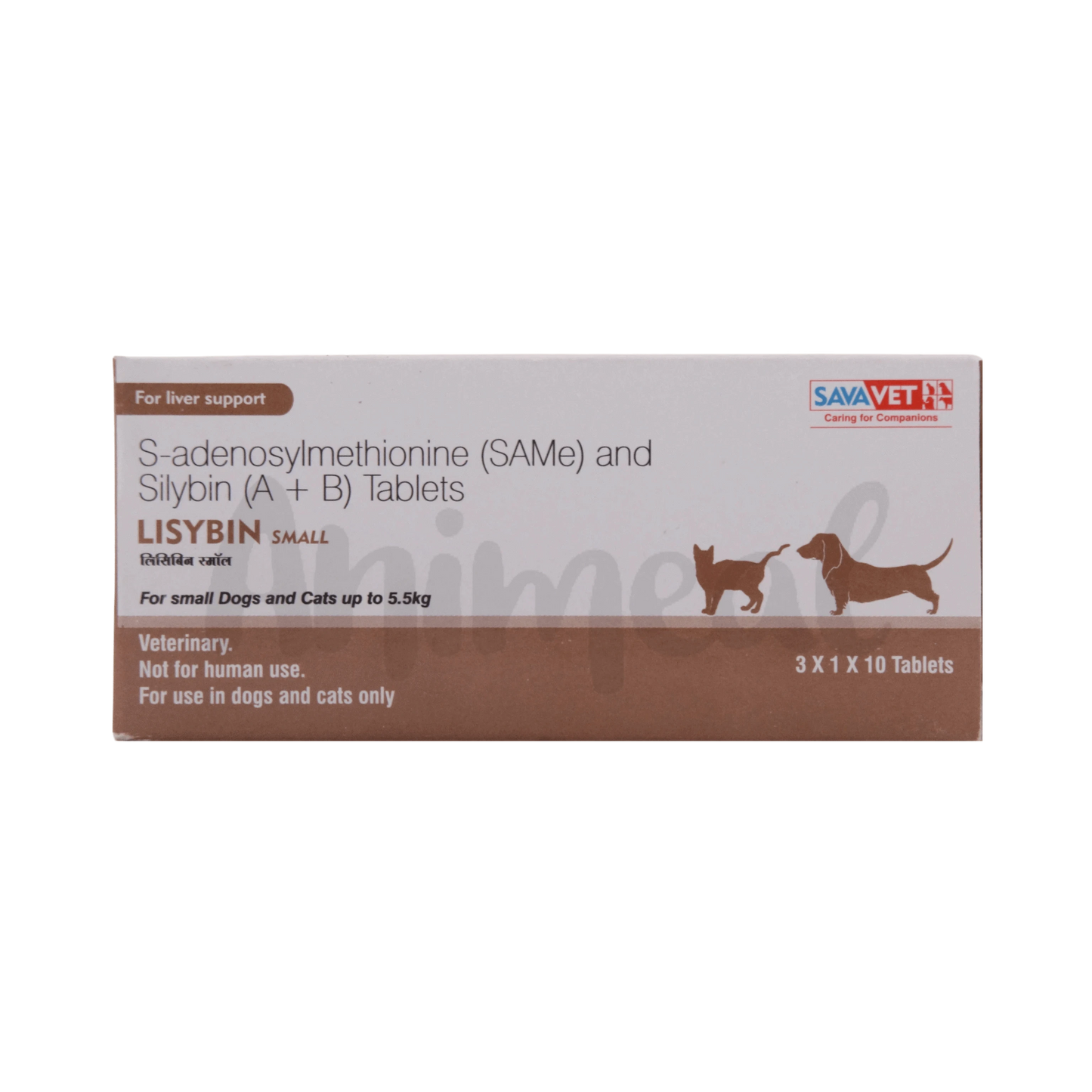LISYBIN SMALL TABLET 10TAB