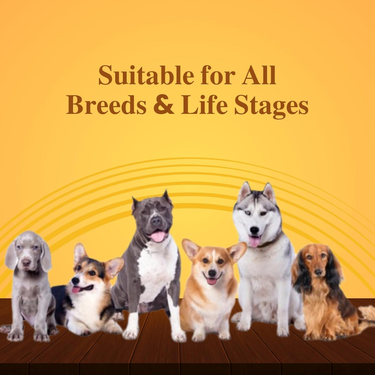 Goat Milk + Multivitamin + Colostrum (Immunity Booster) for Dogs | Pack of 15 Sachets