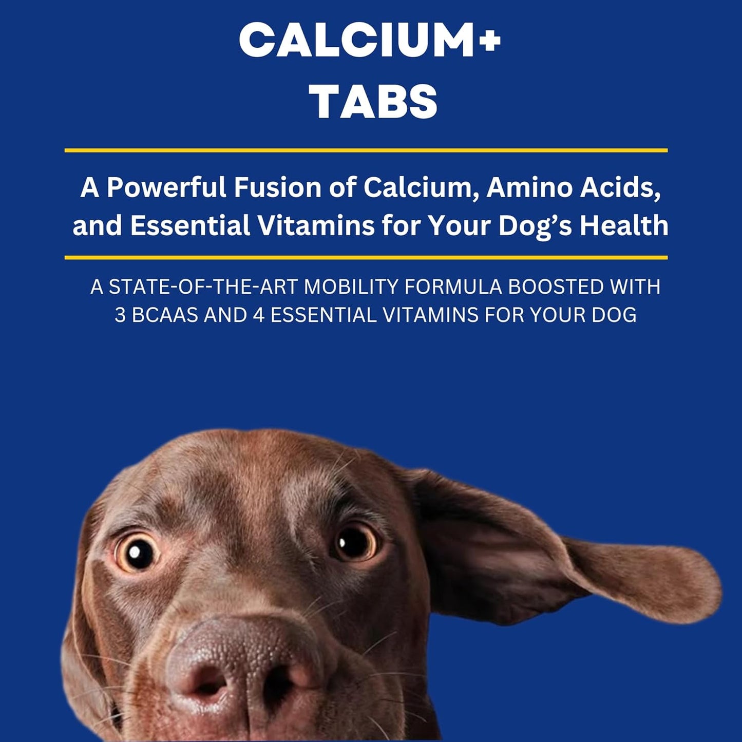 Dog Calcium Tablets – 60 Count