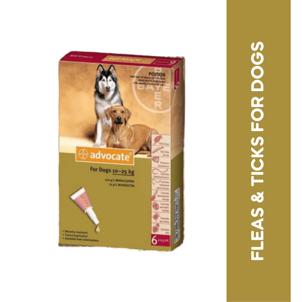 ADVOCATE (10-25KG) DOG SPOT ON - Main Image