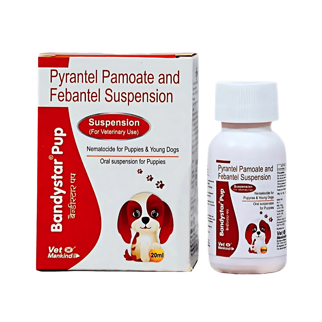 BANDYSTAR PUPPY SYRUP - Animeal