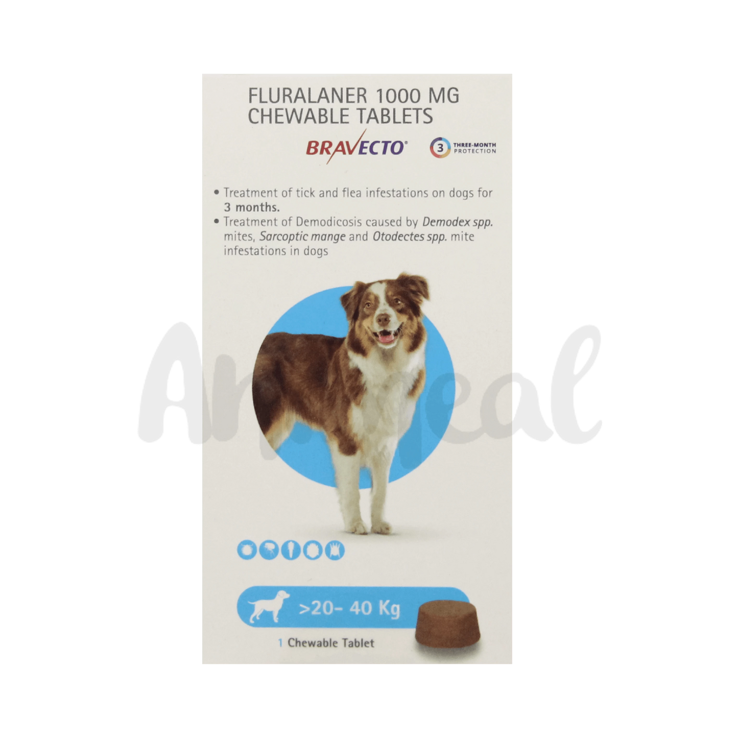 BRAVECTO (20-40KG) DOG TABLET - Animeal