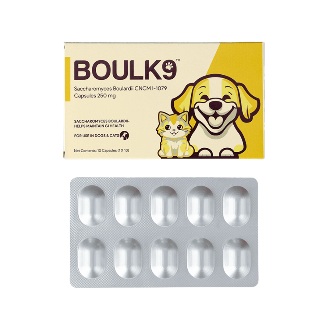 BoulK9 Saccharomyces Boulardii Probiotic for Dogs and Cats, 10 Caps - Animeal