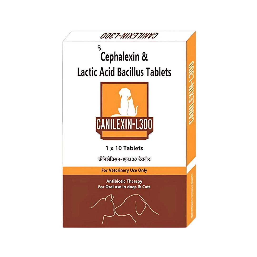 CANILEXIN - L 300MG TABLET - Animeal