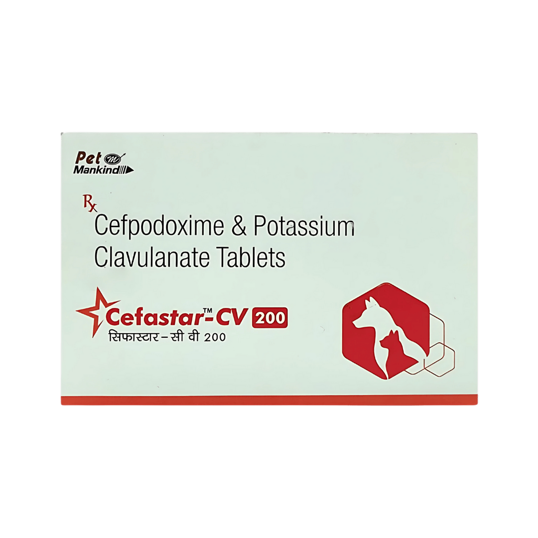 CEFASTAR CV 200MG TABLET - Animeal