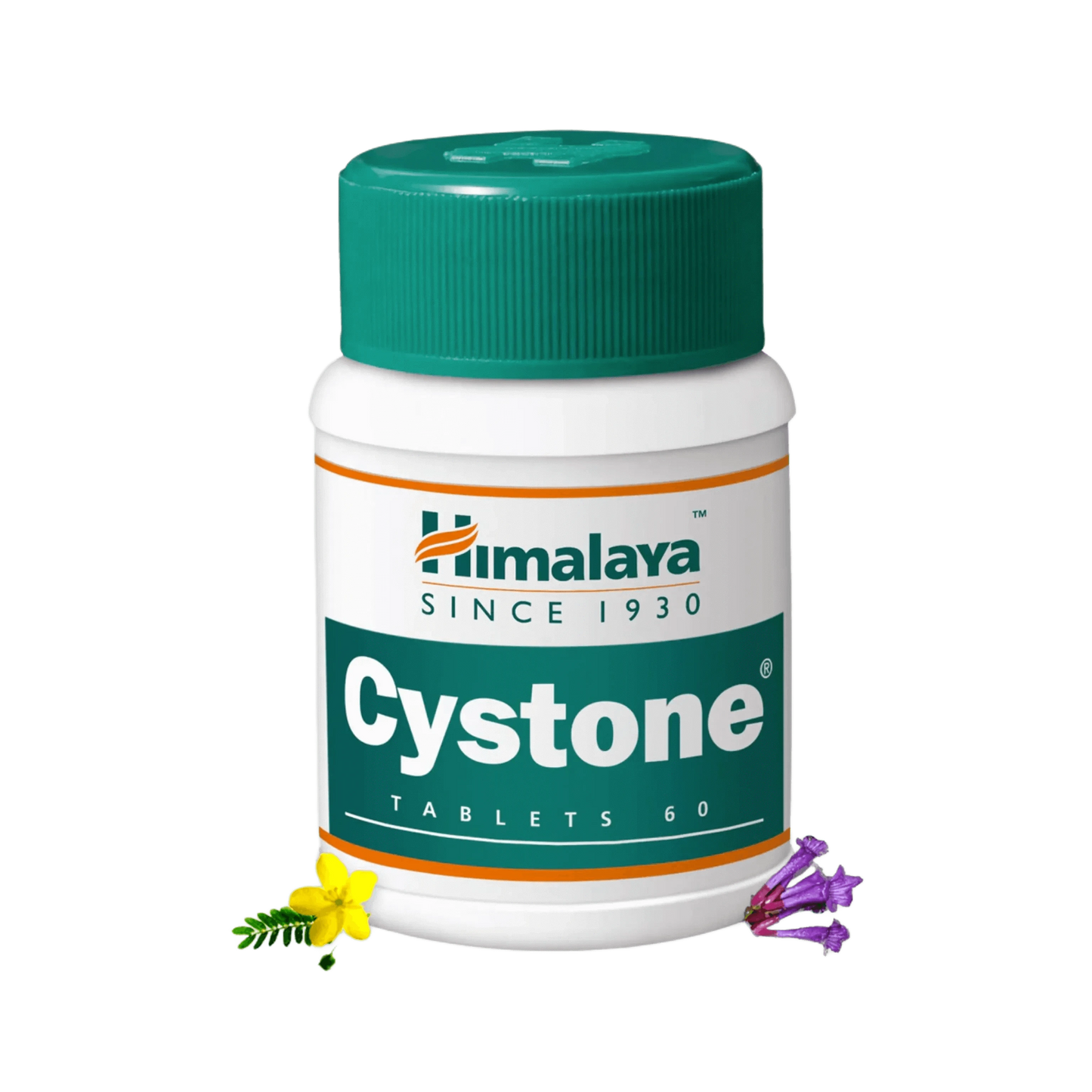 CYSTONE TABLET - Animeal