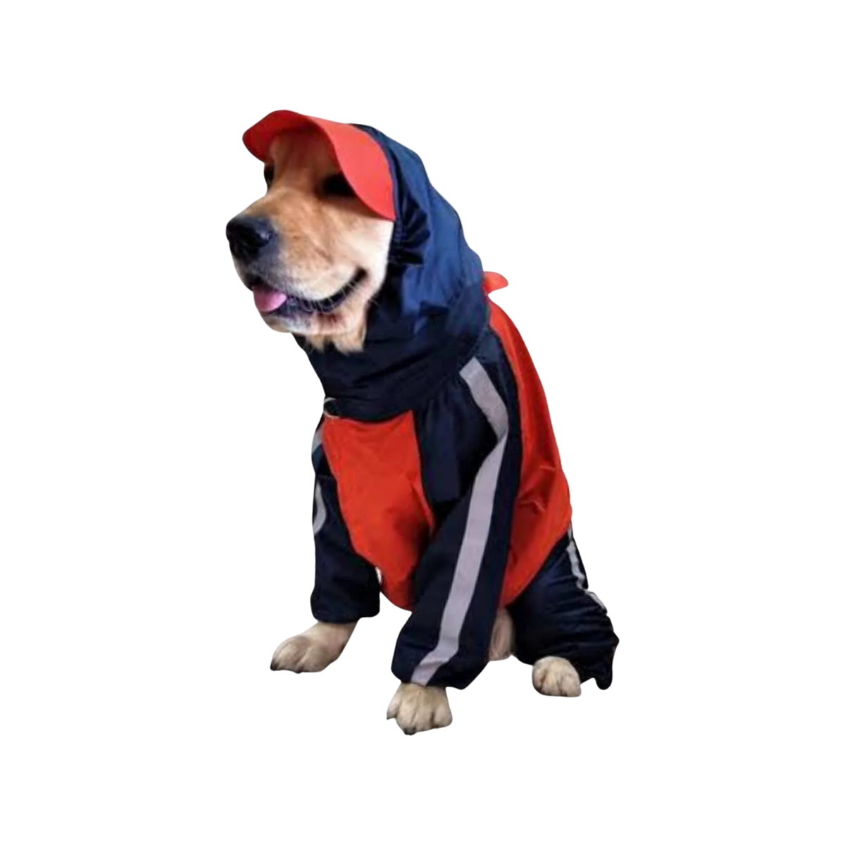 DL FULL COVERAGE RAINCOAT (36) - Animeal
