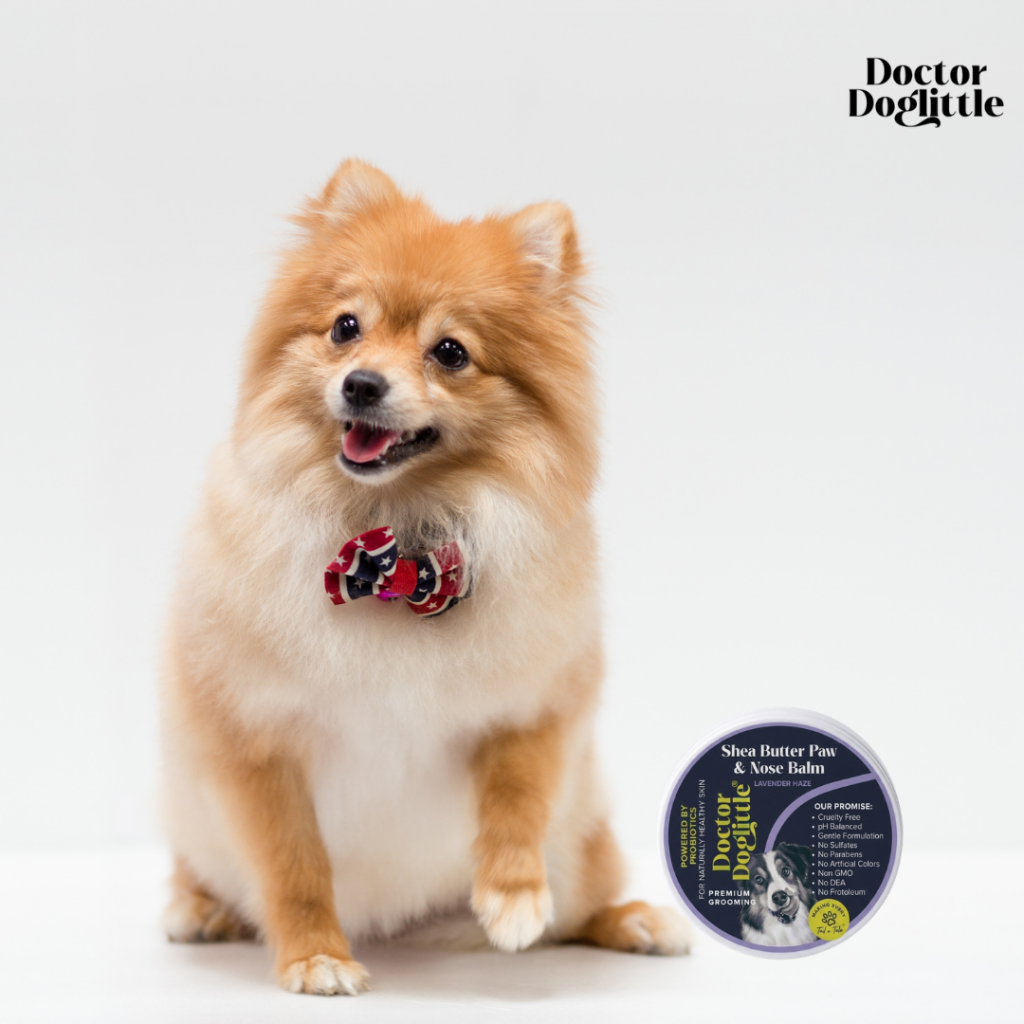 Doctor Doglittle Probiotic Shea Butter Paw & Nose Balm - Animeal