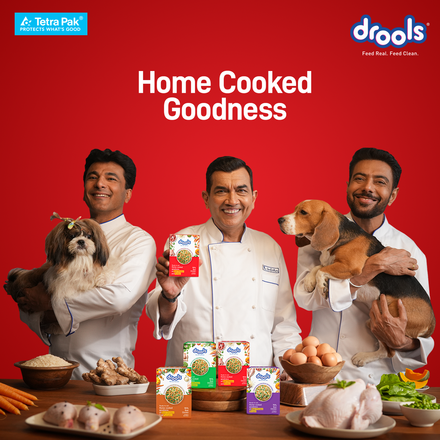Drools Tetra Pack Real Chicken Biryani 350gm - Animeal