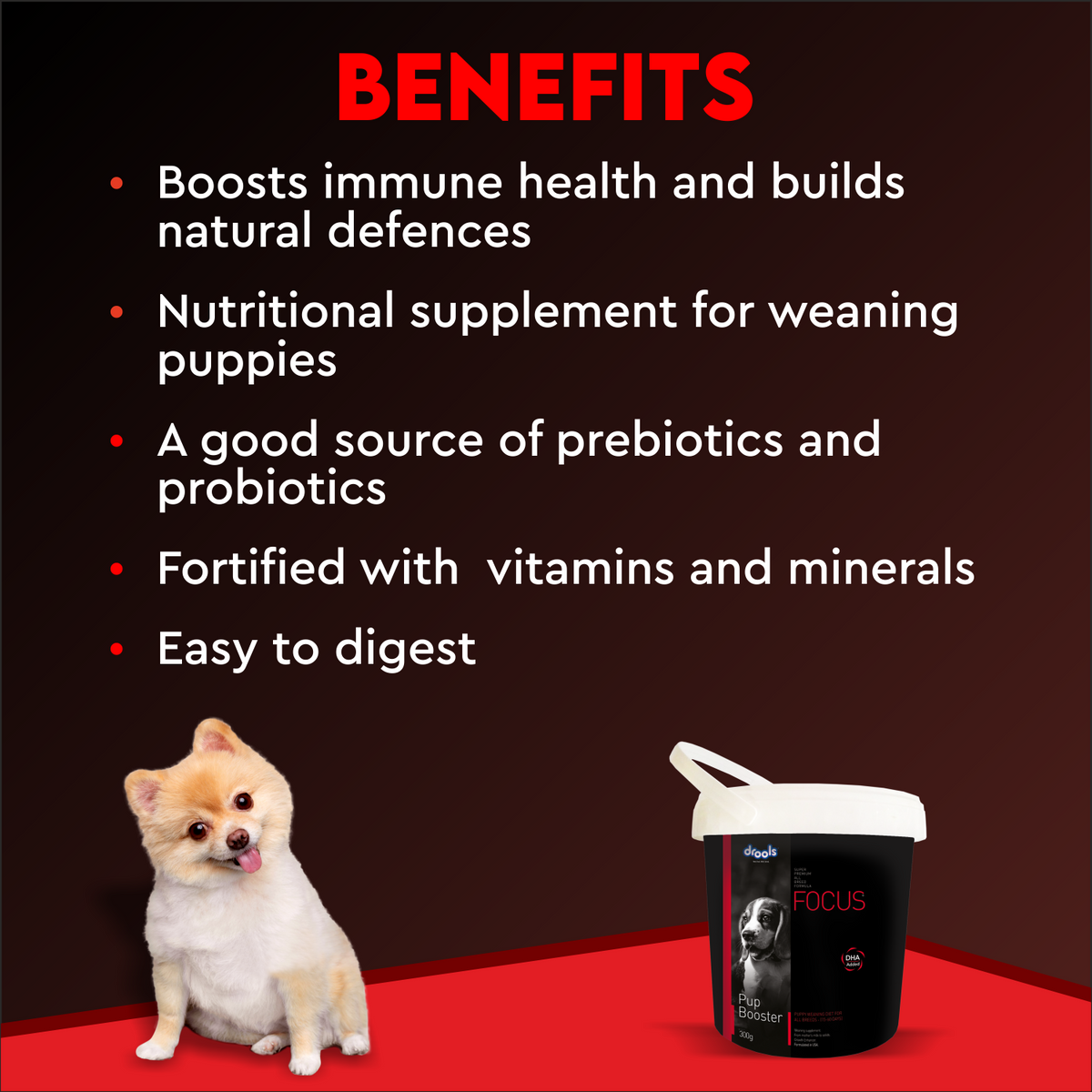 FOCUS PUP BOOSTER - Animeal