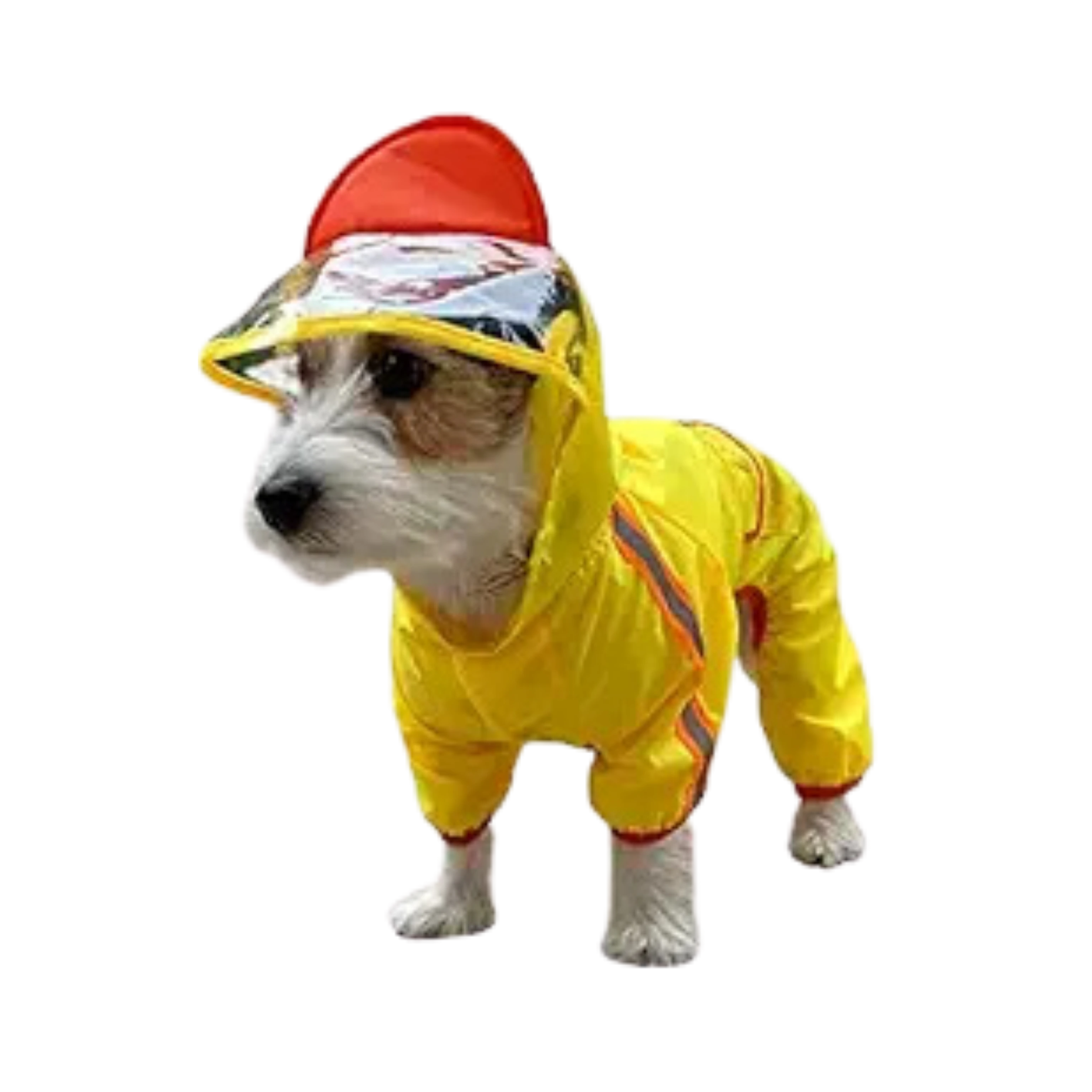 FOFOS PET RAINCOAT -DUCK (M) Upto 15% Off Animeal