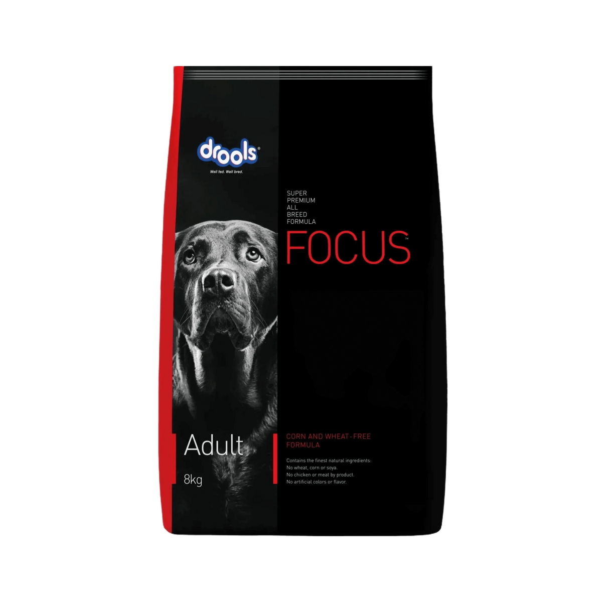 Focus Adult Dry Dog Food, 1.2kg - Animeal