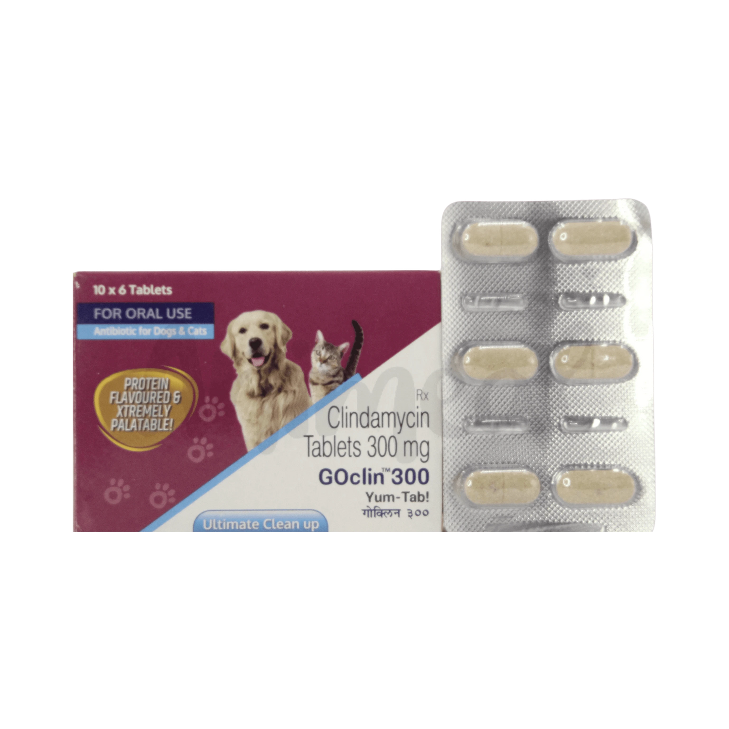 GOCLIN 300 TABLET - Animeal