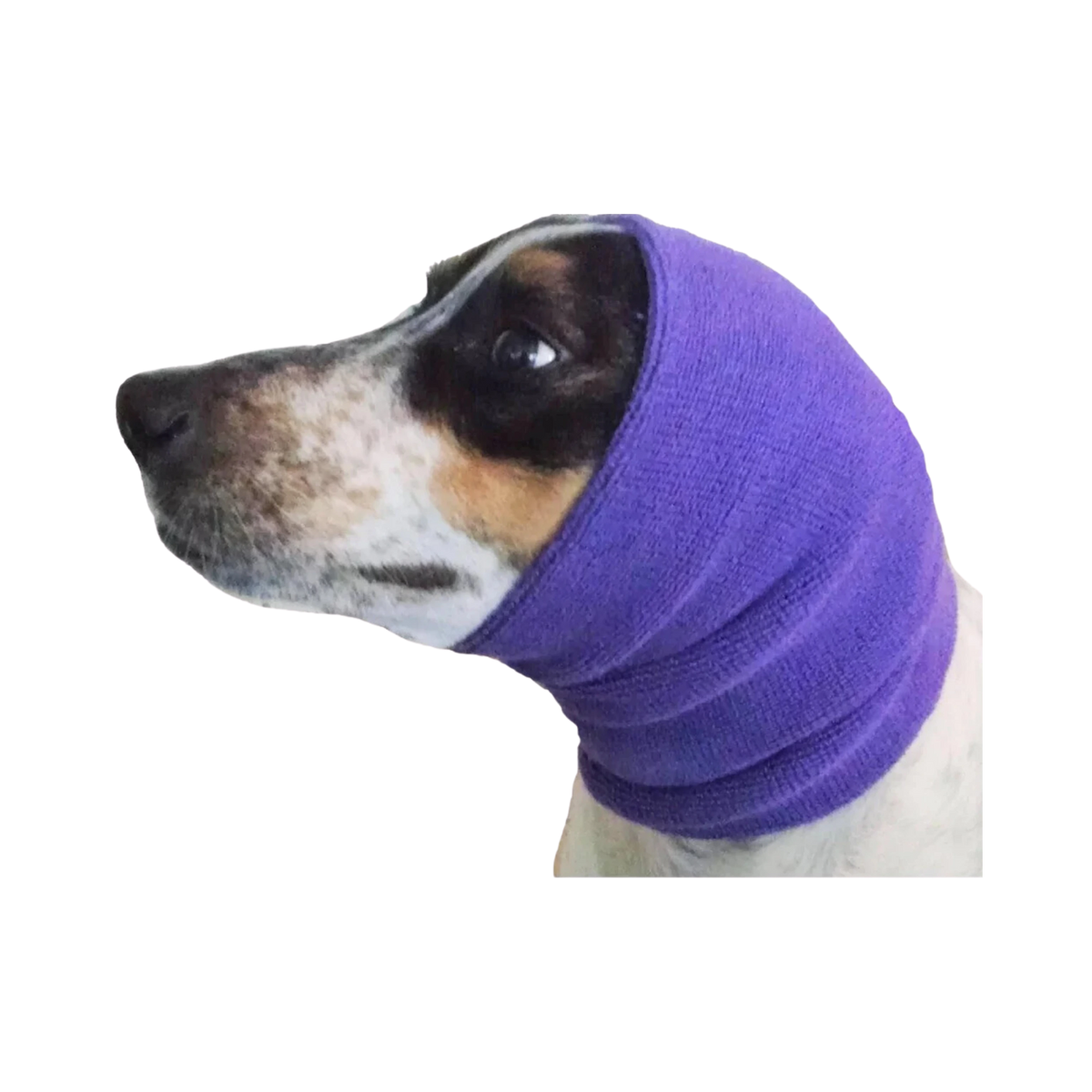 Happy Hoodie for Dogs, 2 Pieces - Animeal