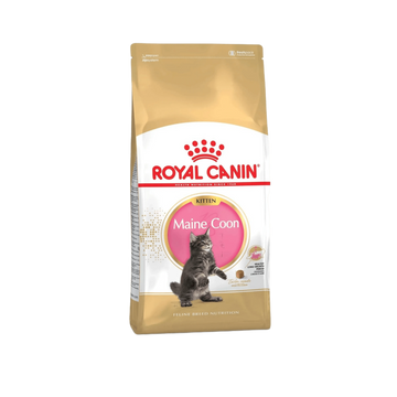 RC KITTEN MAINE COON DRY FOOD (S)