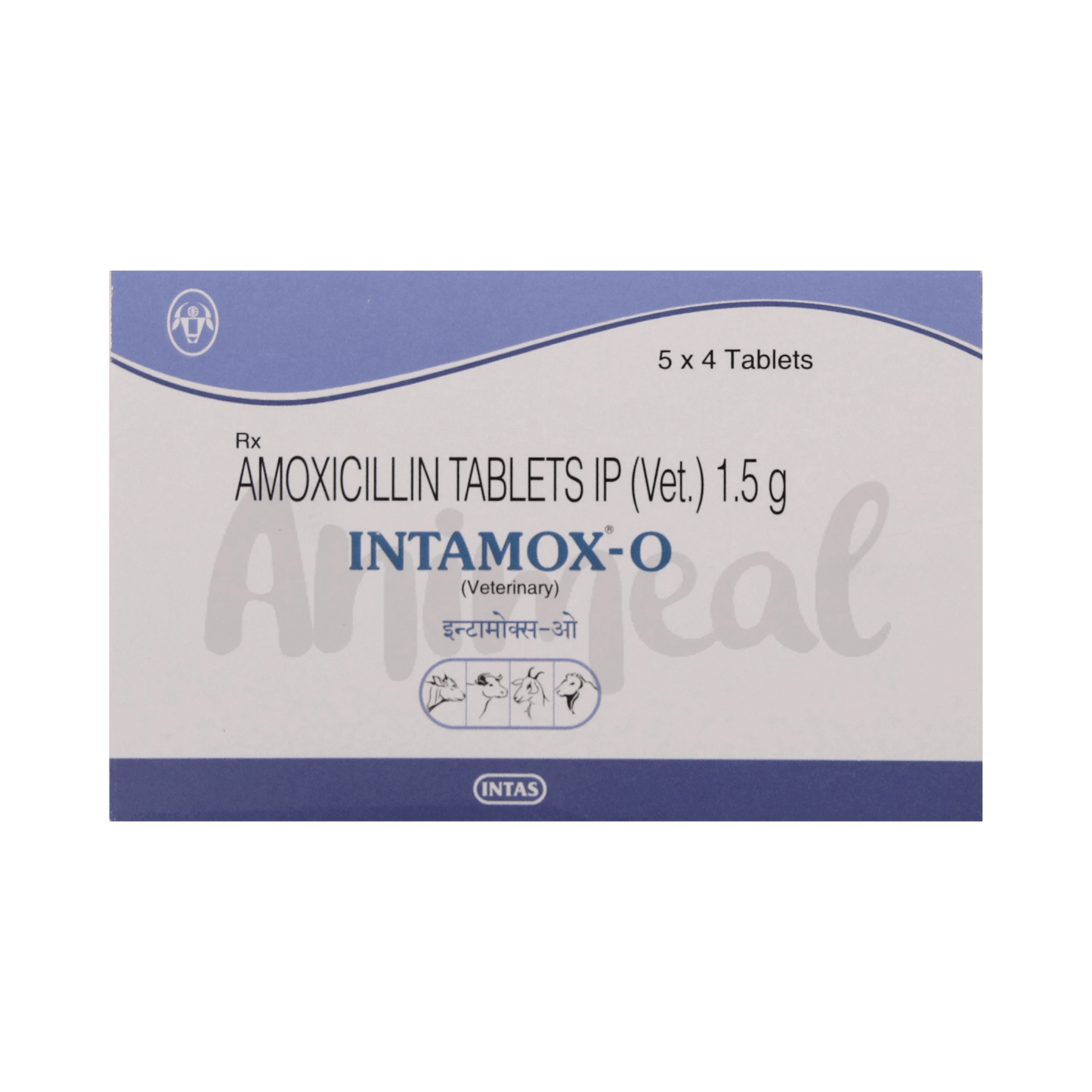INTAMOX-O BOLUS - Animeal