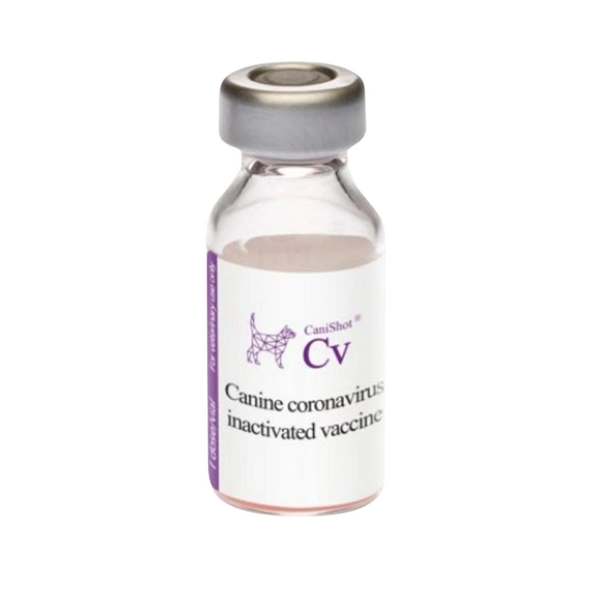 Intas Canishot CV Canine Coronavirus Vaccine for Dogs - Animeal