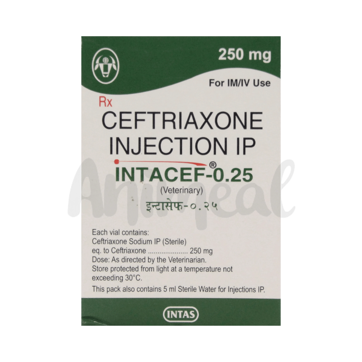 Intas Intacef 250mg Ceftriaxone Injection for Dogs and Cats, 1 Vial - Animeal