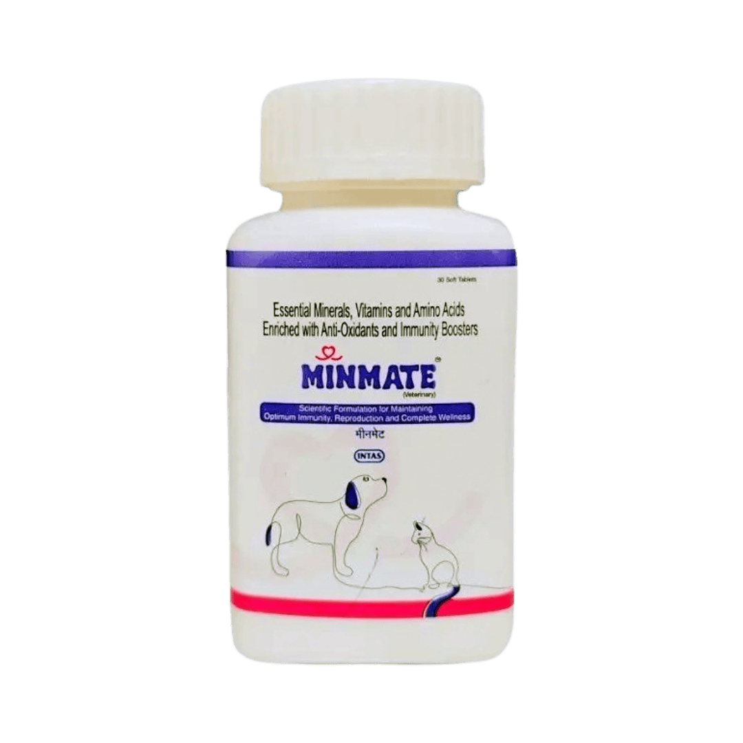 MINMATE TABLET - Animeal