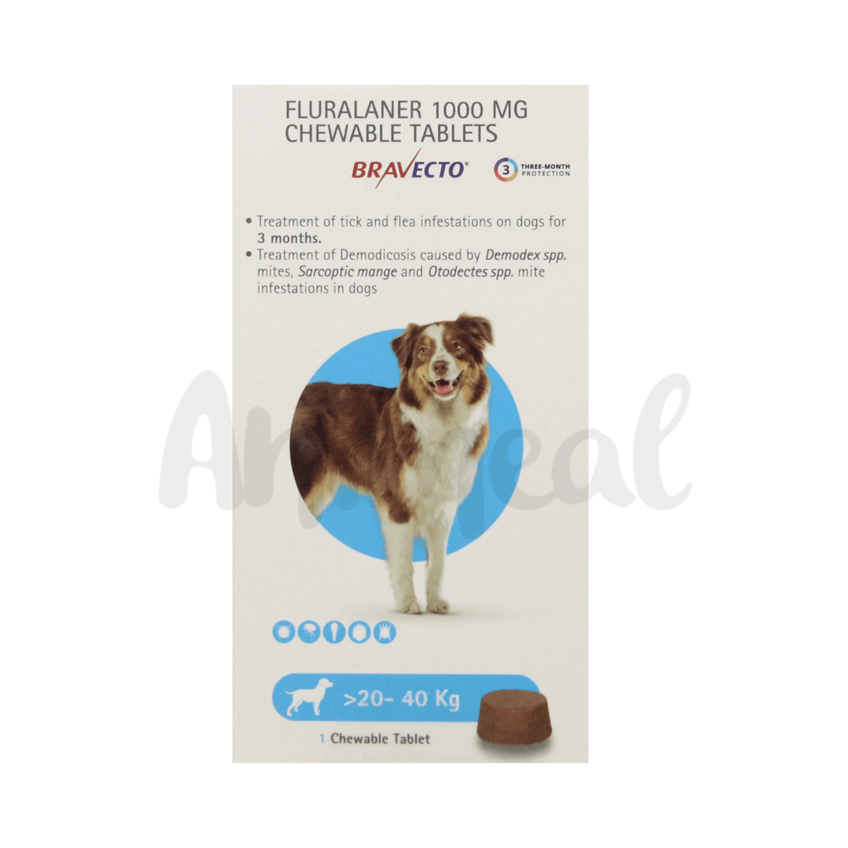 MSD Bravecto Chew for Dogs 20 to 40kg, 1 Chewable Tablet - Animeal