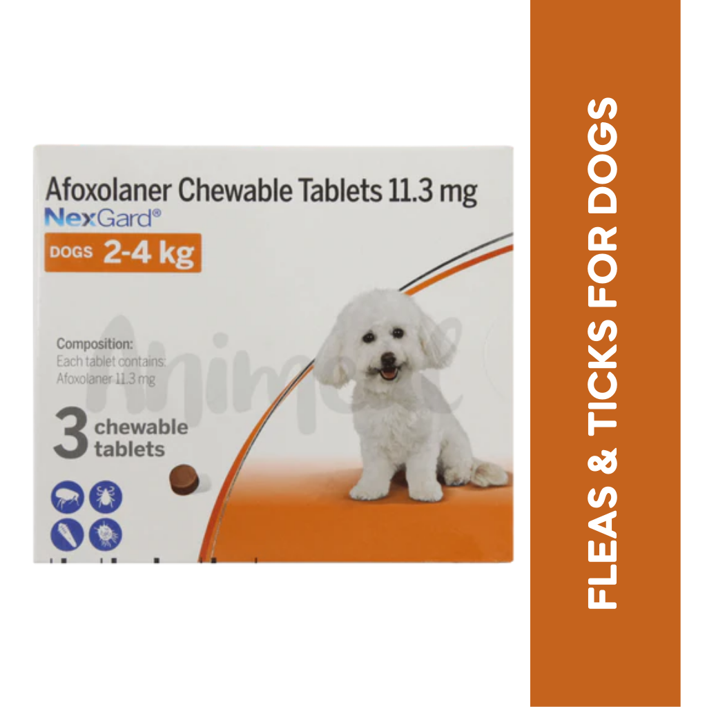 Nexgard Chewable Flea Protection For Dogs Boehringer Ingelheim