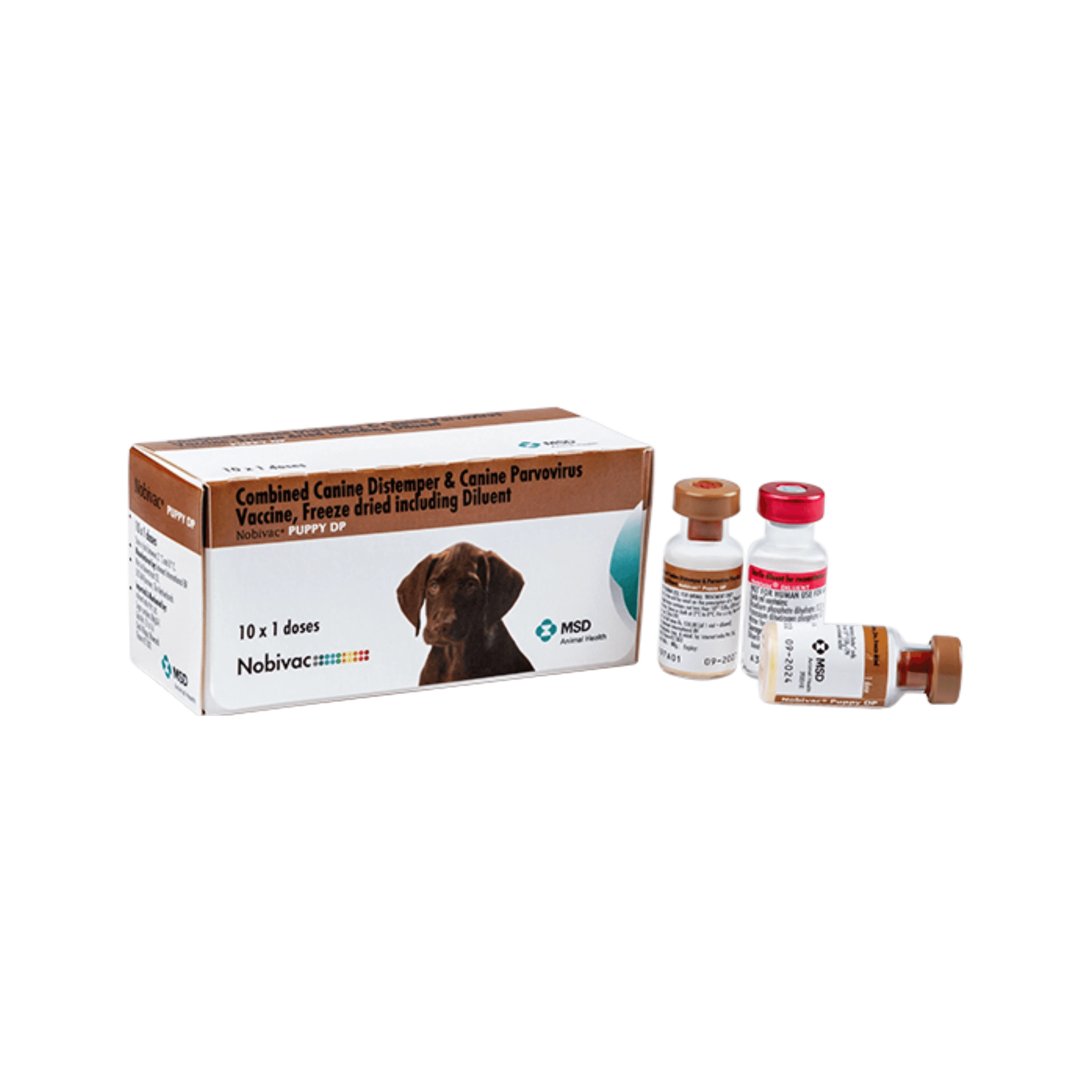 Parvo Virus Can Puppies Get Parvo After First Vaccine NOBIVAC