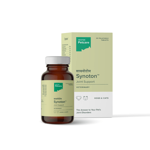 SYNOTON TABLET - Animeal