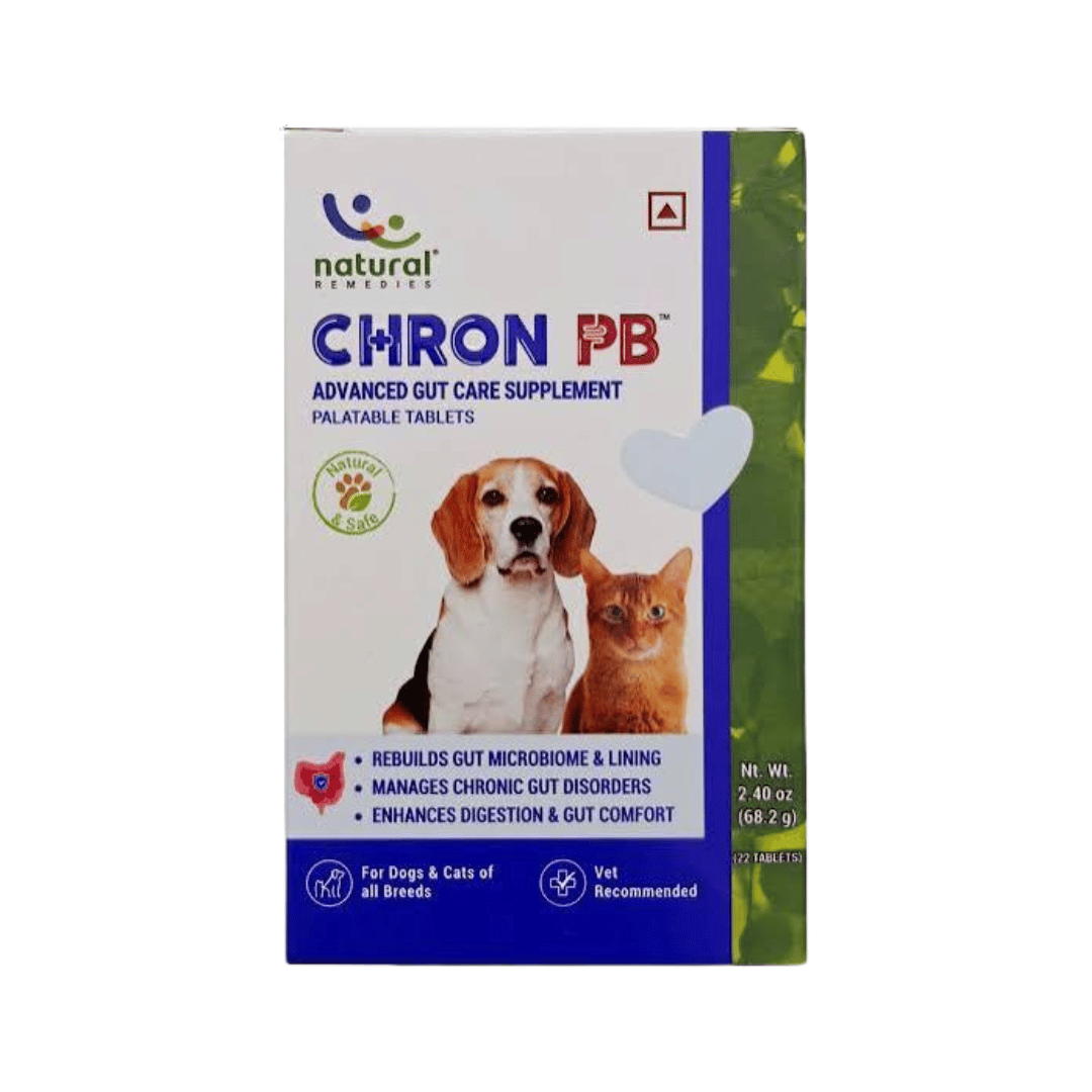 Natural Remedies Chron PB Tablets for Dogs and Cats, 22 Tablets