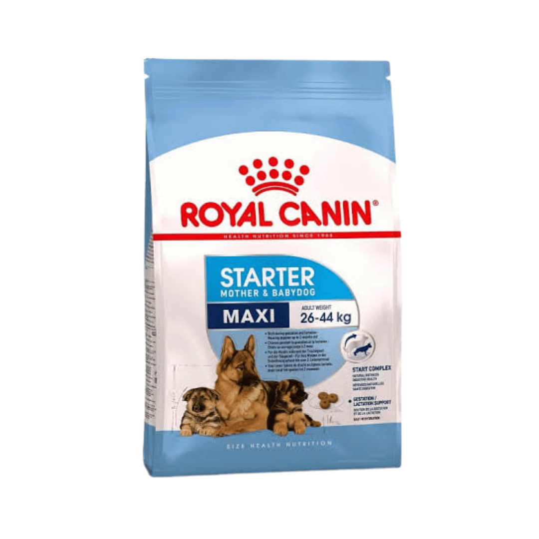Royal Canin Maxi Starter Mother and Babydog Dry Dog Food, 2.5kg