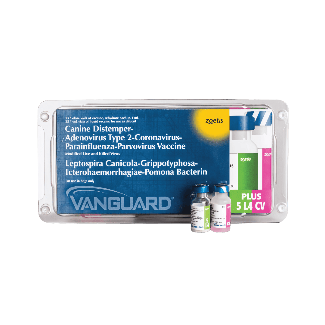 VANGUARD CV (CORONA) - Animeal