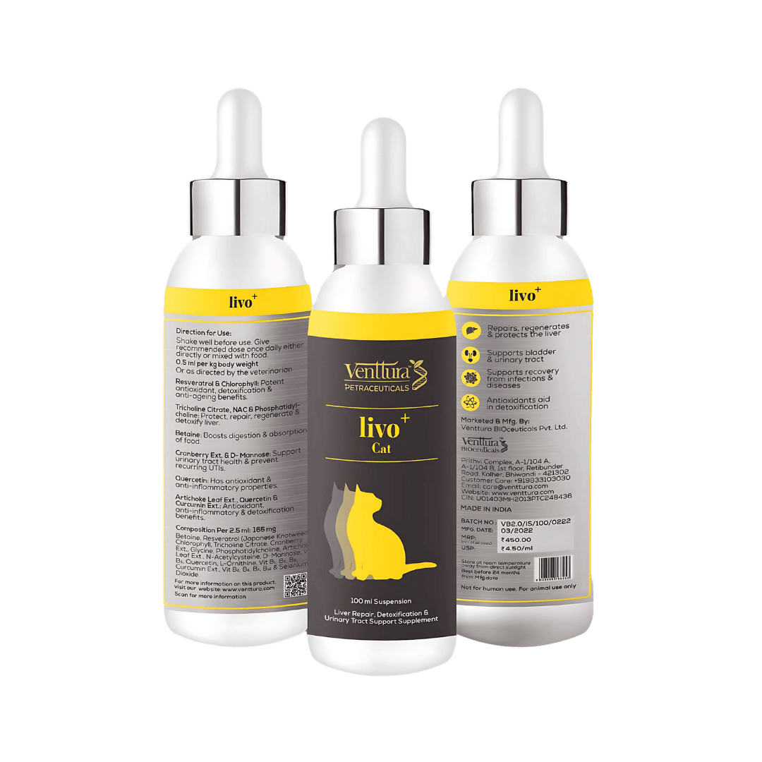 Venttura Livo Plus Cat Liquid for Cats, 100ml - Animeal