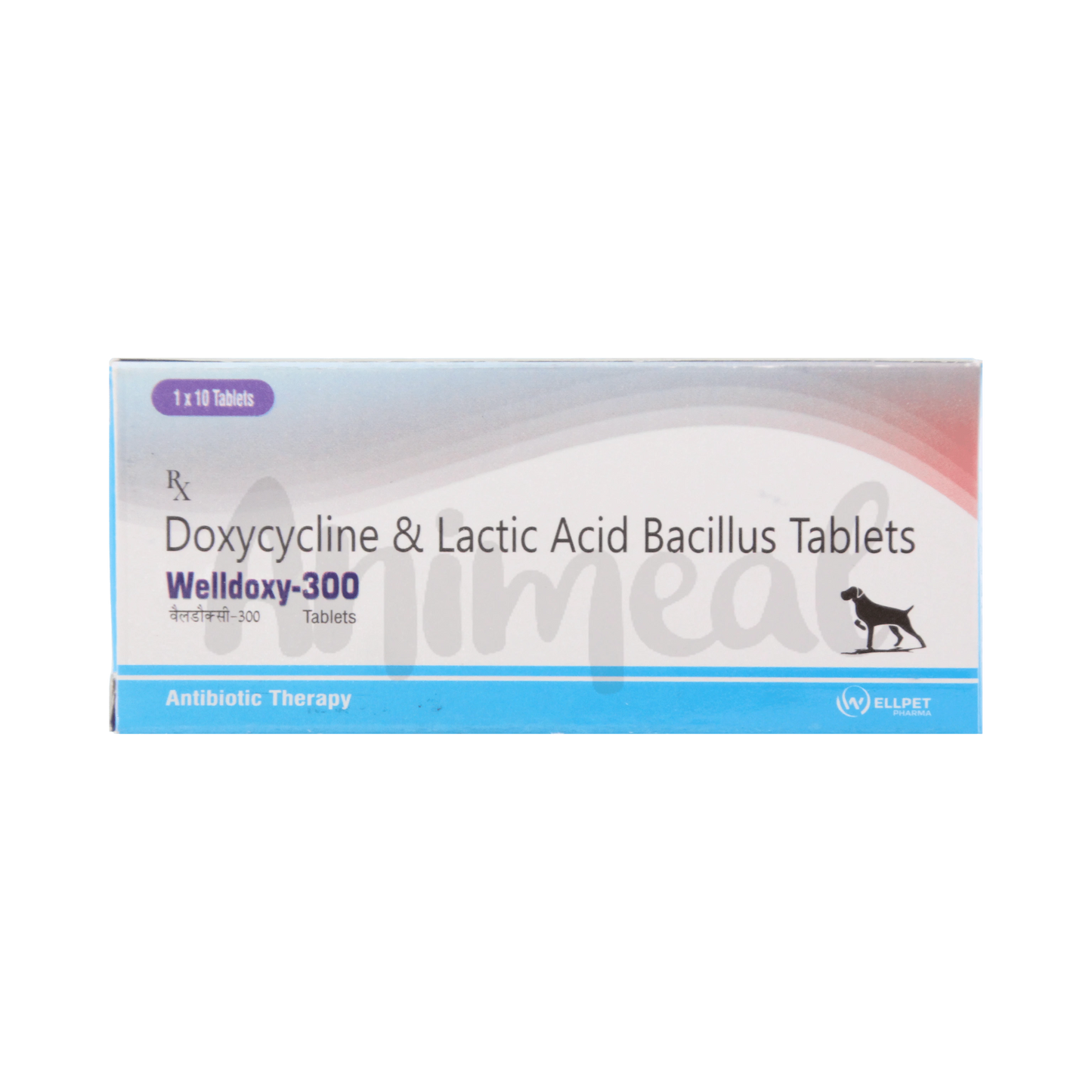 WELLDOXY-300MG TABLET - Animeal