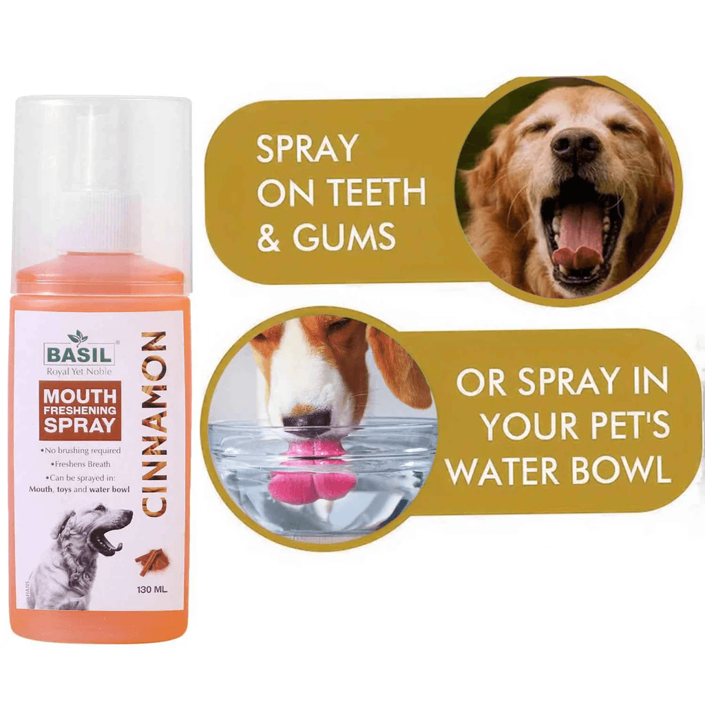 BS MOUTHSPRAY CINNAMON