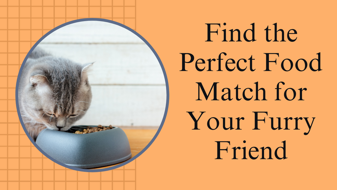 Exploring Different Types of Pet Food: Which is Right for Your Pet?||Different Types of Pet Food: