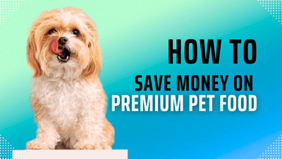 How to Save Money on Premium Pet Food without Sacrificing Quality|Buying in Bulk|Tips for Smart Online Shopping|Tips for Smart Online Shopping