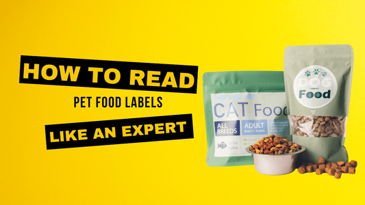 How to Read Pet Food Labels Like an Expert|Decoding the Ingredients List|Analyzing the Guaranteed Analysis|Understanding the Label
