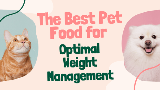 The Best Pet Food for Optimal Weight Management||