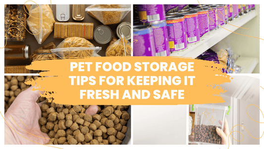 Pet Food Storage Tips|Pet Food Storage Tips|Pet Food Storage Tips FIFO