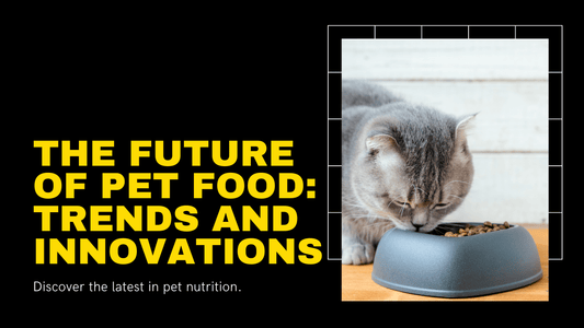 Exploring the Future of Pet Food Trends and Innovations|Pet Food Trends and Innovations - Stay Ahead in 2023|Pet Food Trends and Innovations
