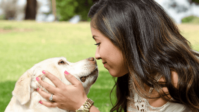 Adopt a Dog: Ultimate Guide to Finding Your New Furry Best Friend