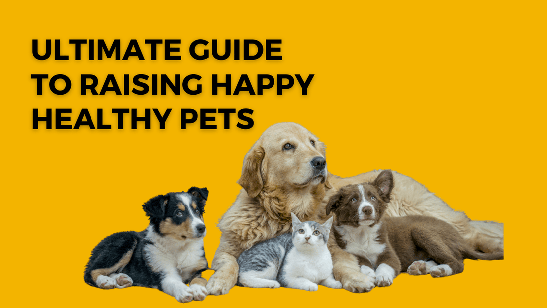 The Ultimate Guide to Raising Happy and Healthy Pets|The Ultimate Guide to Raising Happy and Healthy Pets