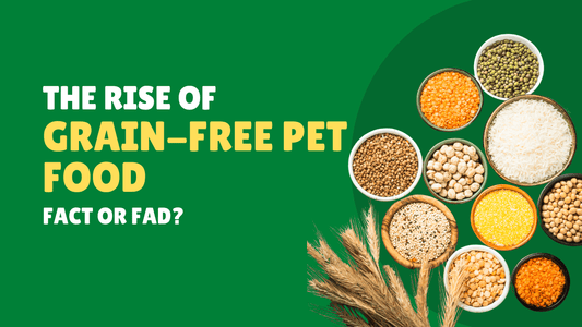 The Rise of Grain-Free Pet Food: Fact or Fad?|Grain-Free vs. Grain-Inclusive: Making the Right Choice|Informed Choices in Pet Nutrition