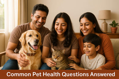 Common Pet Health Questions Answered