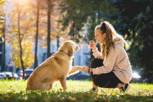 7 Challenges That Helped Me Become a Better Pet Owner