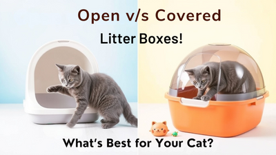 Side-by-side comparison of an open litter box and a covered litter box with a playful grey cat interacting with each, showcasing the options for cat owners to decide 'What’s Best for Your Cat?' on a bright, cheerful background.