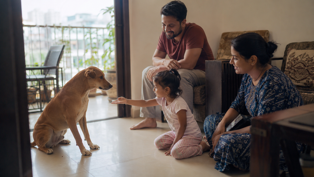 How to Choose the Right Dog for Your Indian Home and Lifestyle