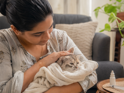 Giardia, Coccidia, and Protozoa in Cats: Signs, Diagnosis, and Treatment