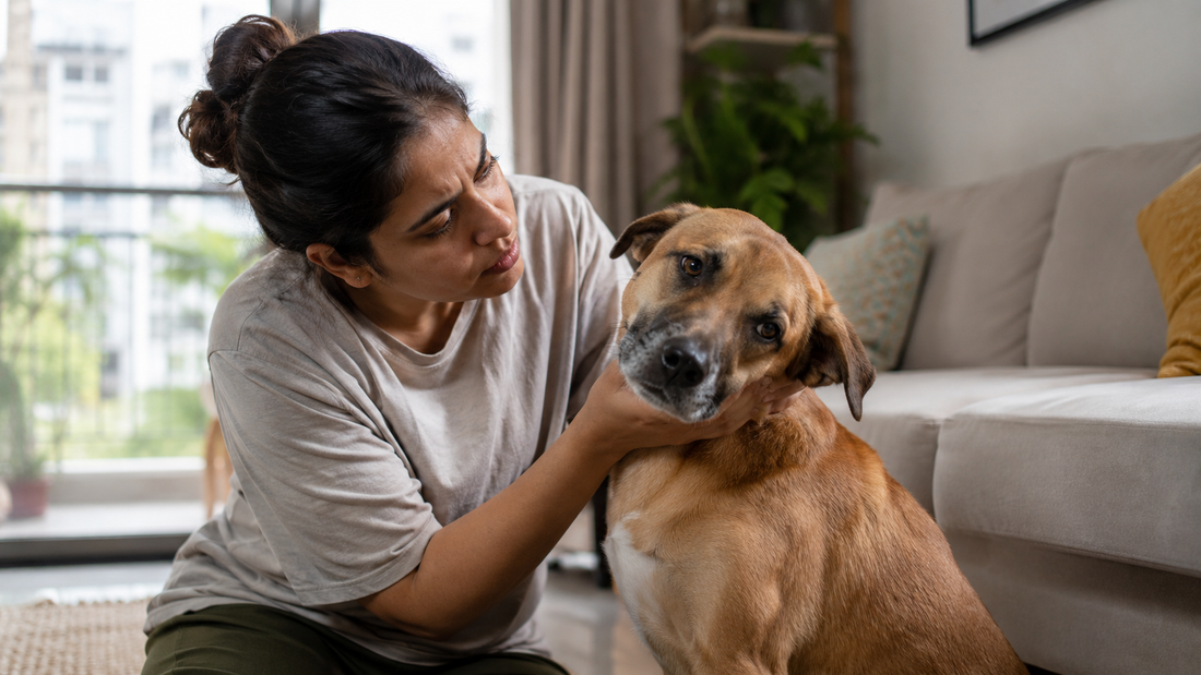 Indian pet parent gently examining a dog showing a head tilt — a common sign of a nervous system disorder in dogs.