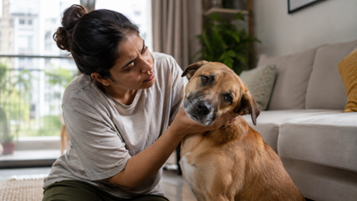 Indian pet parent gently examining a dog showing a head tilt — a common sign of a nervous system disorder in dogs.